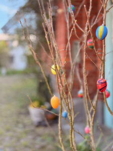 IMG_4625 lr