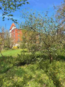 IMG_4635 lr