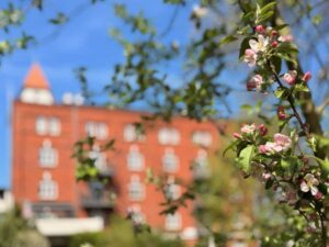 IMG_4638 lr