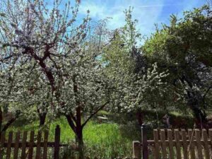 IMG_4655 lr
