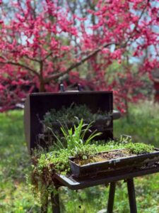 IMG_4669 lr