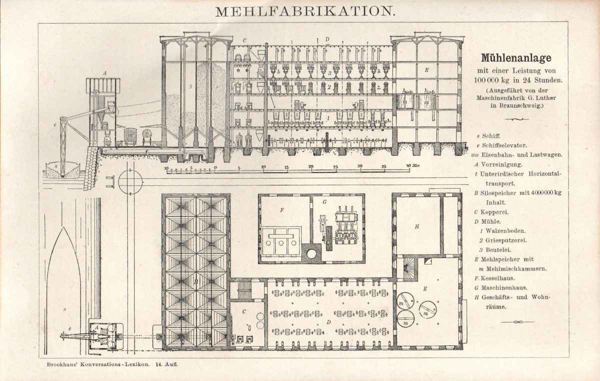 Mehlfabrikation II lr