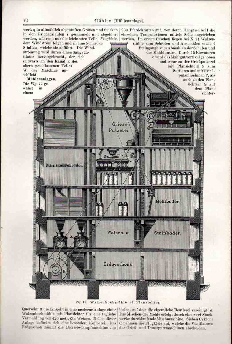 Mehlfabrikation III lr