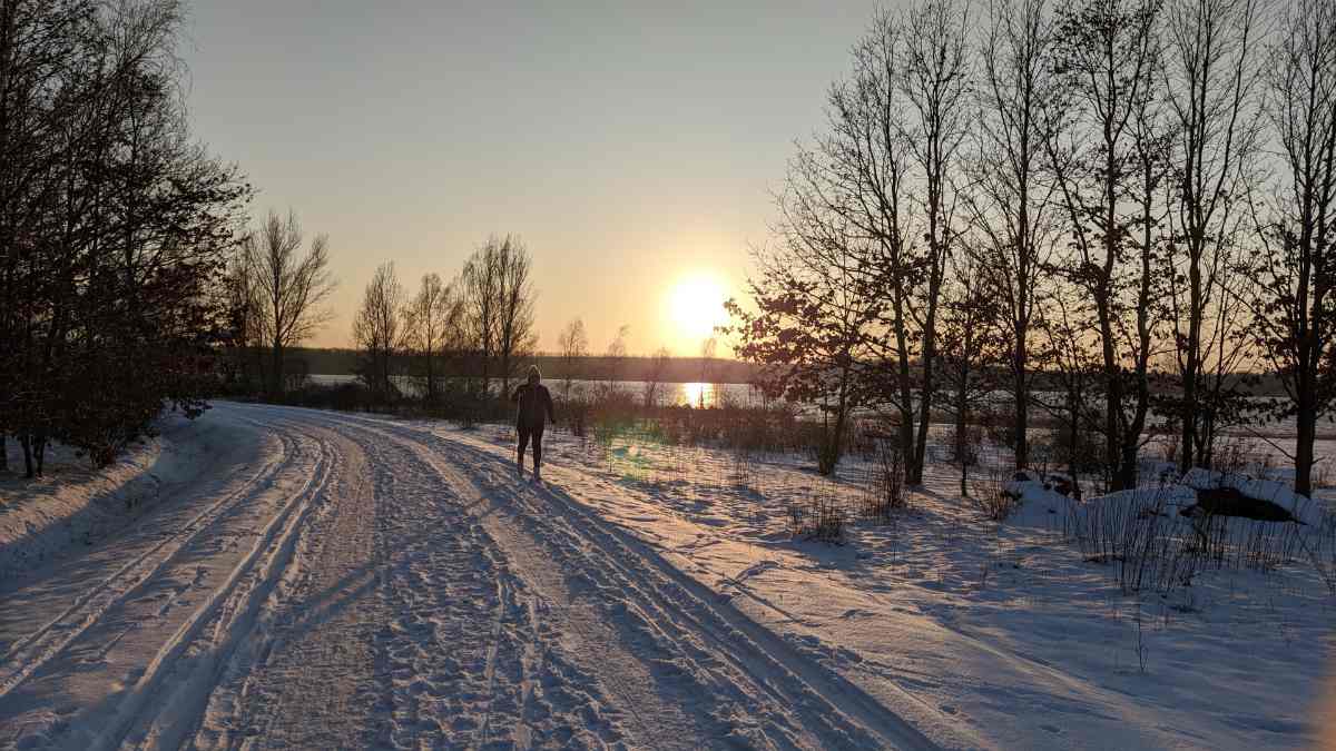 Skilanglauf am Cospudener See